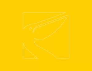 Associação Incluir - Minuto Solidário Montepio 2015